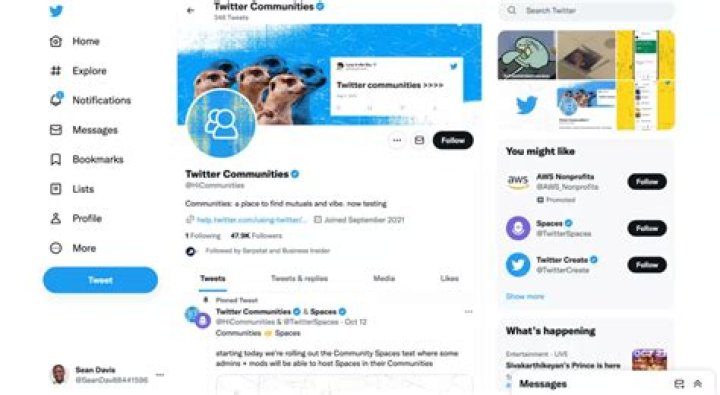 Туит / Twitter