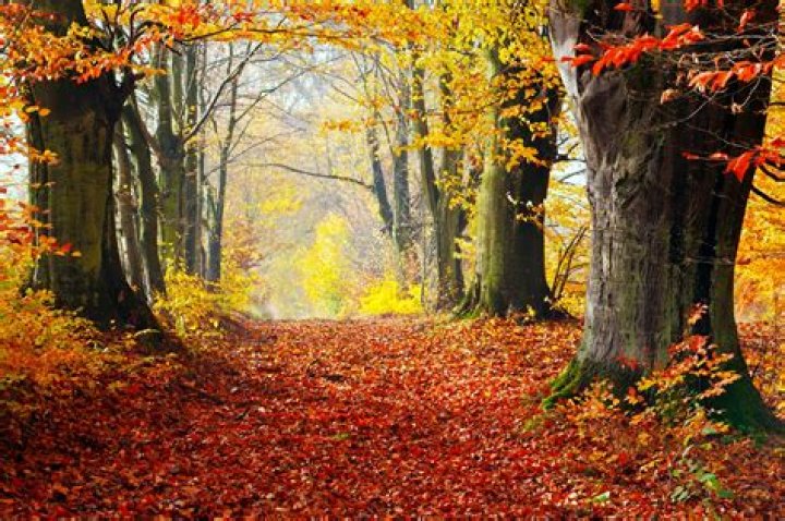 Autumn!