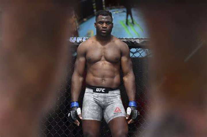 Francis Ngannou Opens as Heavy Betting Favourite Against Rozenstruik