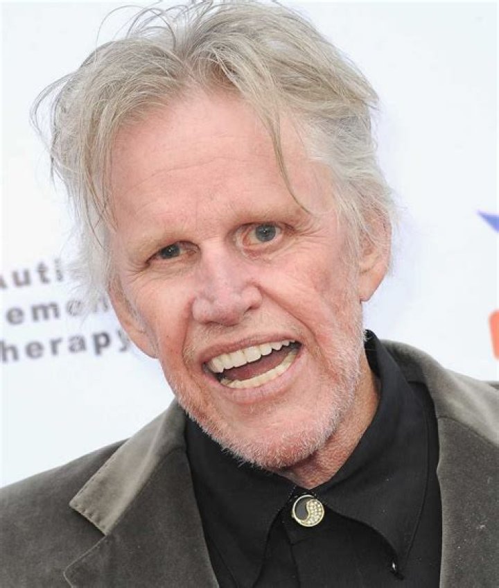 Gary Busey Net Worth ·