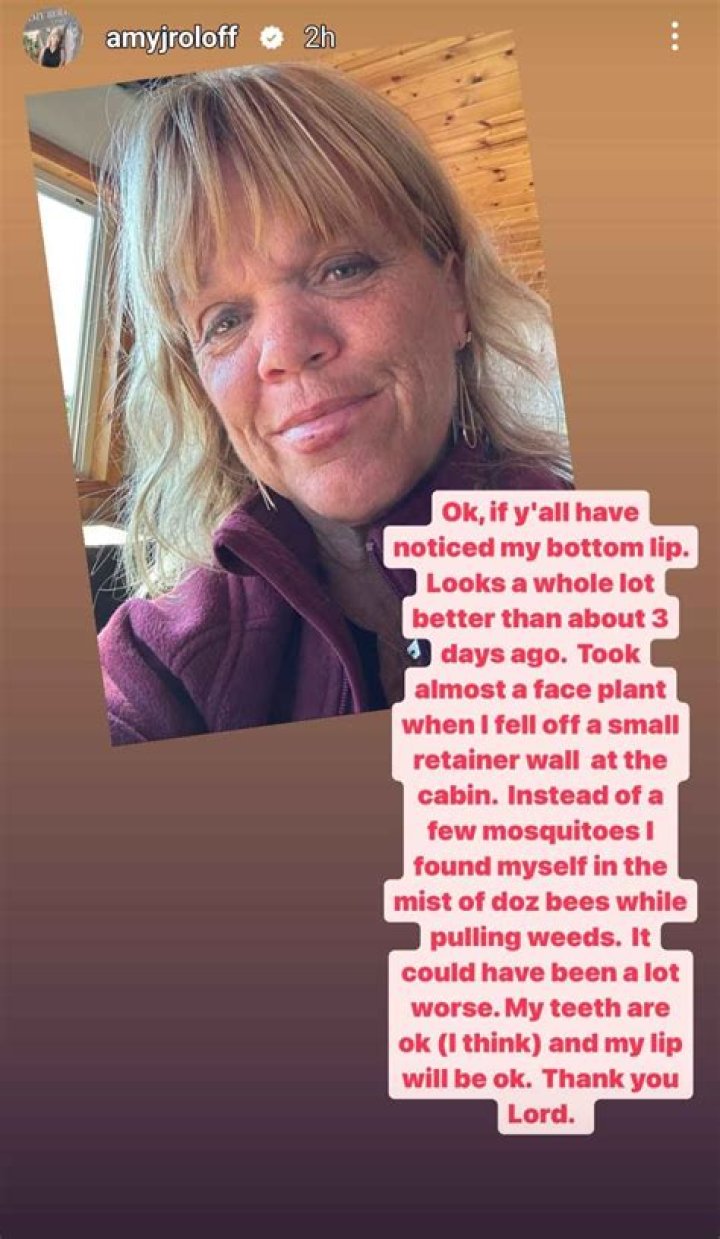 The Truth Behind Amy Roloff's Accident Rumors